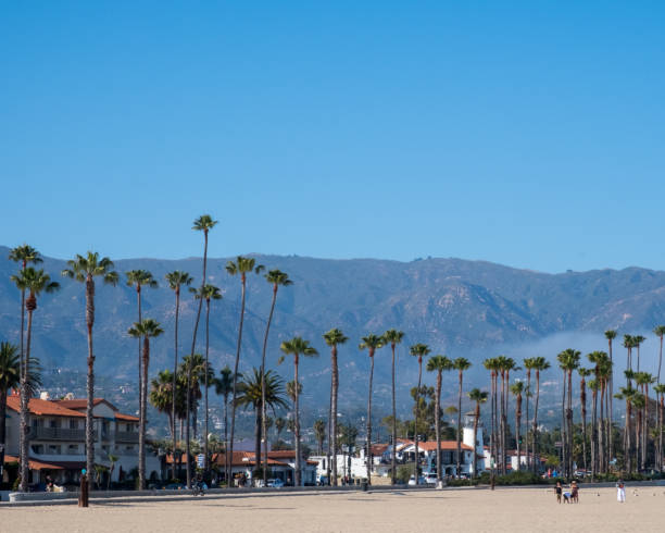 istock Santa Barbara beach coast line with palm trees and mountains 1422618218