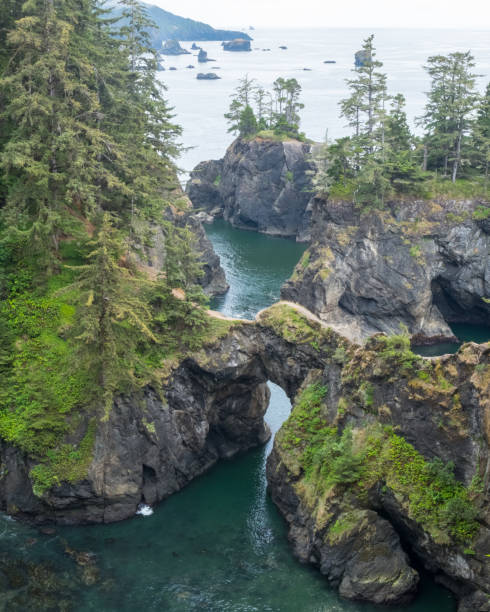istock Natural Bridges Oregon Coast 1422618221