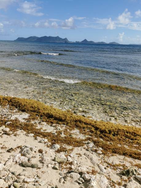 istock Petit Carenage Beach, Carriacou, Grenada 1422619800