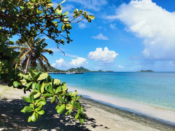 istock Coastline Along Main Street, Carriacou, Grenada 1422620112