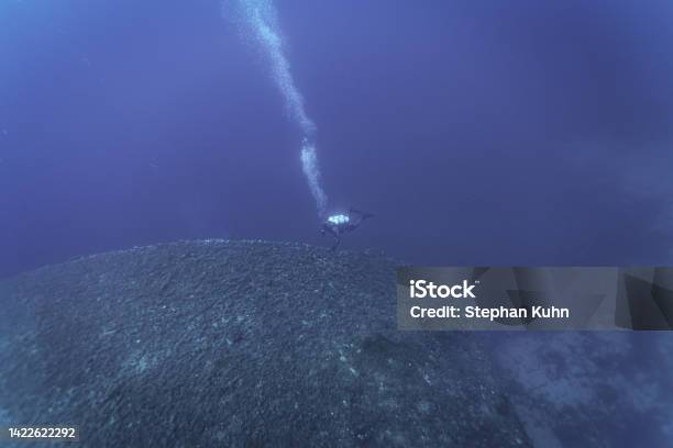 Diver Examines Shipwreck Stock Photo - Download Image Now - Activity, Adventure, Color Image
