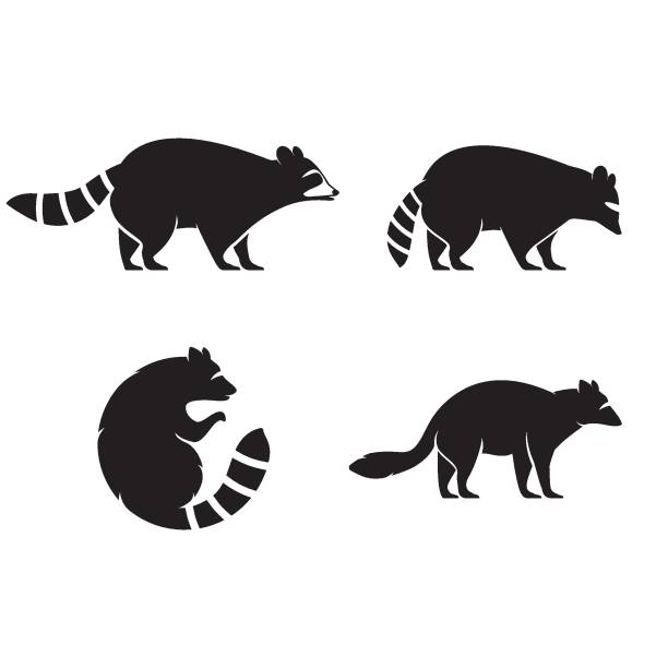 симпатичный черный енот логотип векторная иконка иллюстрация - raccoon stock illustrations