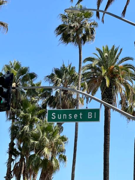 los angeles street sign ‘sunset boulevard’ - city of los angeles los angeles county hollywood california rodeo drive imagens e fotografias de stock