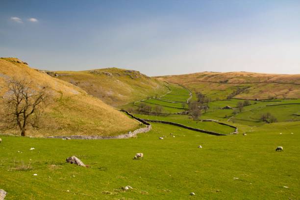 istock Rolling fields and stone walls in the dales on a sunny day 1422631764