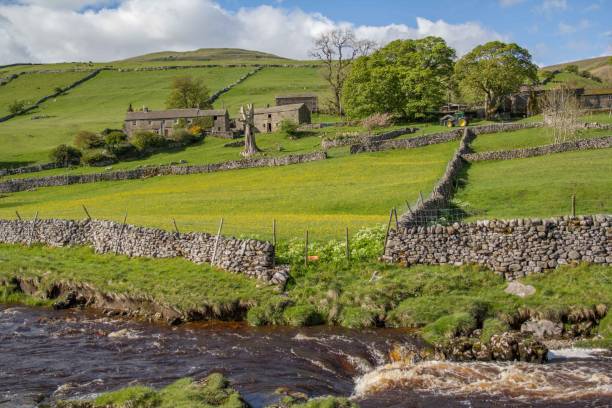 istock A river runs through the dales with rolling hills in the background with green fields covered in buttercups and farm buildings surrounded by trees 1422631877
