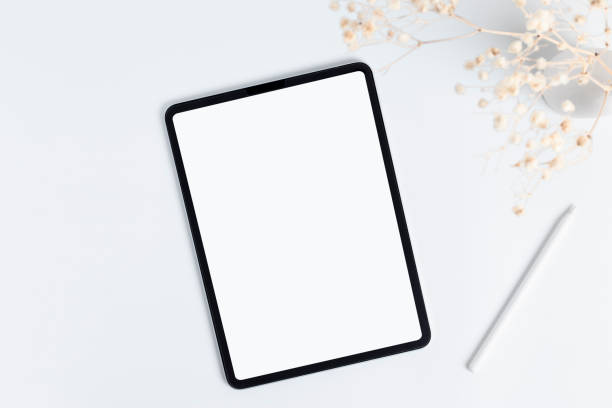 istock white tablet and stylus with copy space blank screen, light background with dry flower blossoms in vase, top view 1422645301