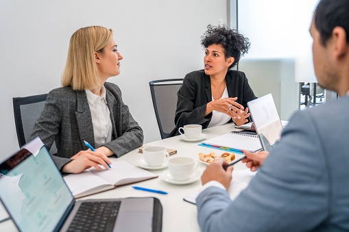 Close-up of a business meeting in the conference room. A mature determined busineswoman explaining new ideas to her business colleagues.