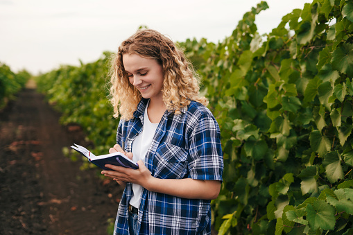 Female farmer examining the vines, and making notes in the diary. High quality wine production. Wine harvest season in vineyard.