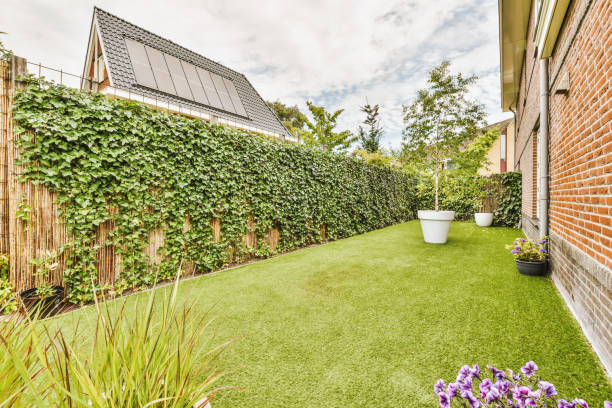 istock A large backyard at a modern house with fencing 1422650577