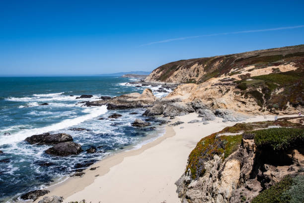 istock Rocky Coast of Bodega Head 1422653419