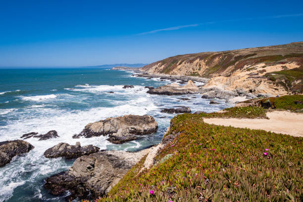 скалистый берег бодега-хед - sonoma county california coastline northern california стоковые фото и изображения