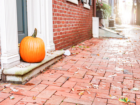 Pumpkins and the city