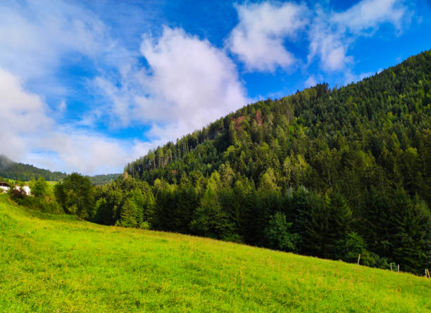 istock mountain forest on a sunny and cloudy day 1422662571