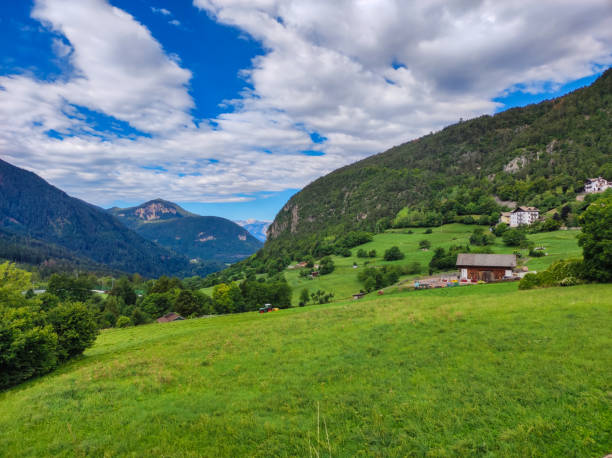istock mountain forest on a sunny and cloudy day 1422662645