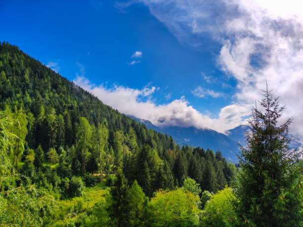 istock mountain forest on a sunny and cloudy day 1422662655