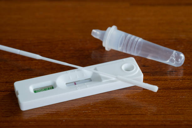 istock covid-19 negative test result with antigen rapid test kit (ATK), The test showed a negative result 1422666246