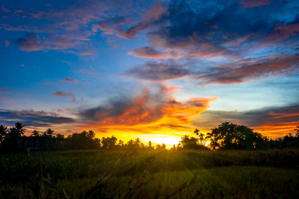 istock Beautiful evening sky landscape 1422668112