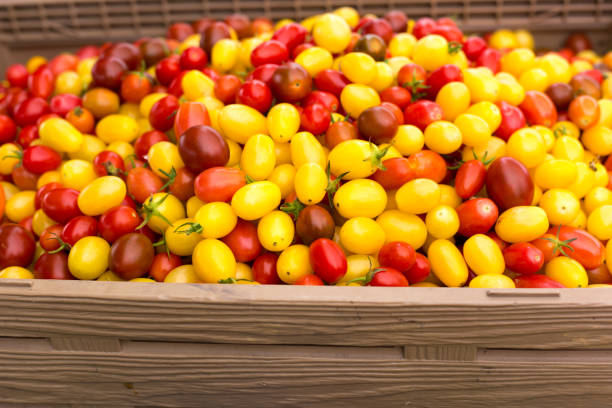 tomates cerises patrimoniales colorées en pile au marché fermier - heirloom tomato food tomato crate photos et images de collection