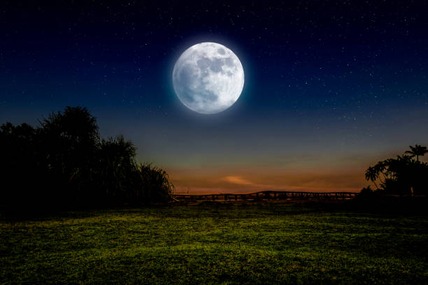 istock Peaceful fantasy night landscape 1422673494