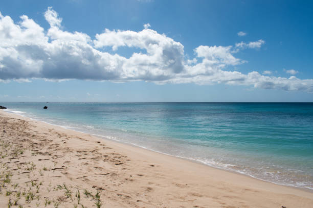 istock A view of the beach 1422674776