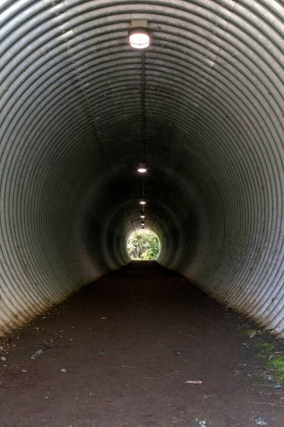 istock Tunnel on High Falls Trail in Pigeon River Park 1422676451