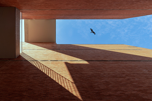 An eagle flew across the sky of red brick buildings