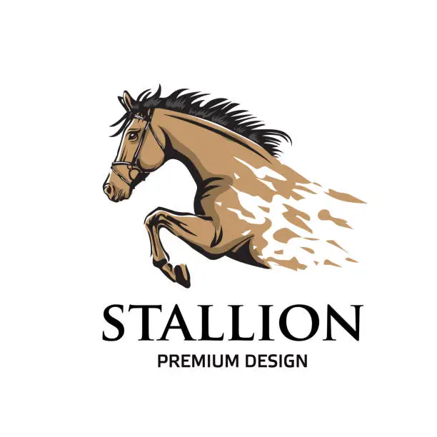 Vector illustration of stallion horse racing vector template