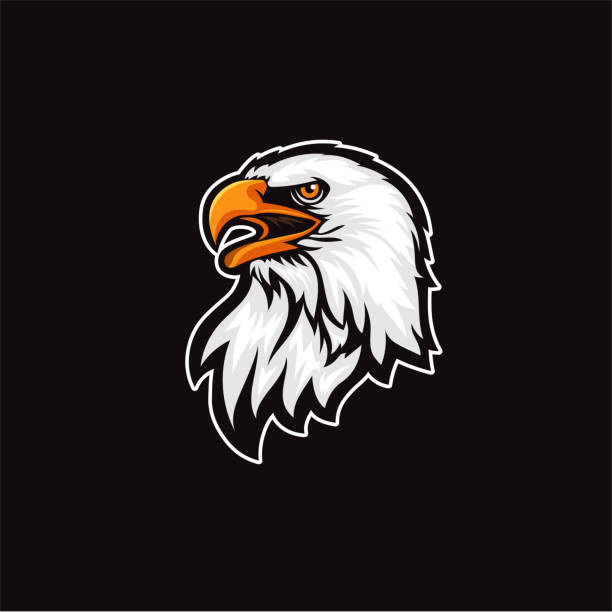 wektor logo eagle head szablon na czarnym tle - phoenix tattoo bird wing stock illustrations