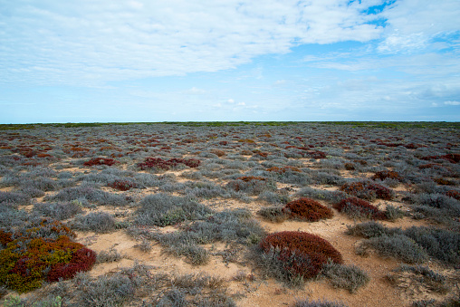 Nullarbor Plain - South Australia