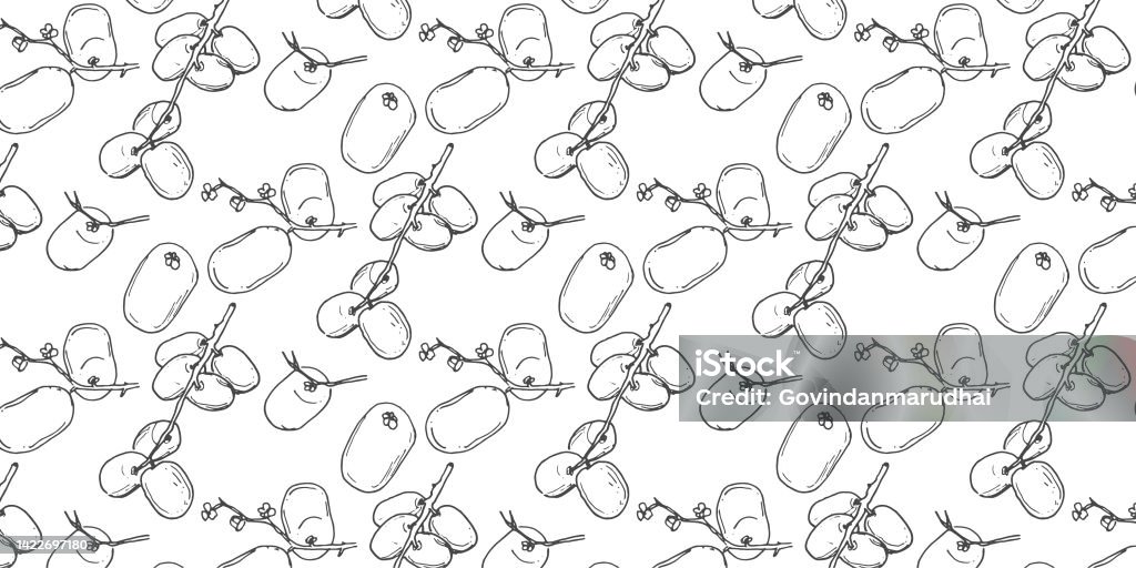 Datte Patterns Vector Set Of Seamless Patterns Pattern Of Dates Fruit White And Dark ...