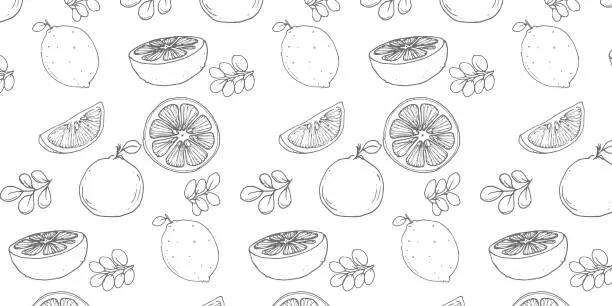 Vector illustration of Vector set of seamless patterns. Pattern of orange fruit, White and dark background.