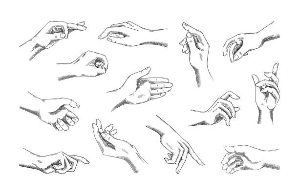 Retro hand icons. Human arms. Various gestures. Old antique signs of finger. Sketch style elements set. Forefinger and fist positions. Body part. Monochrome engraving drawing. Vector design symbols
