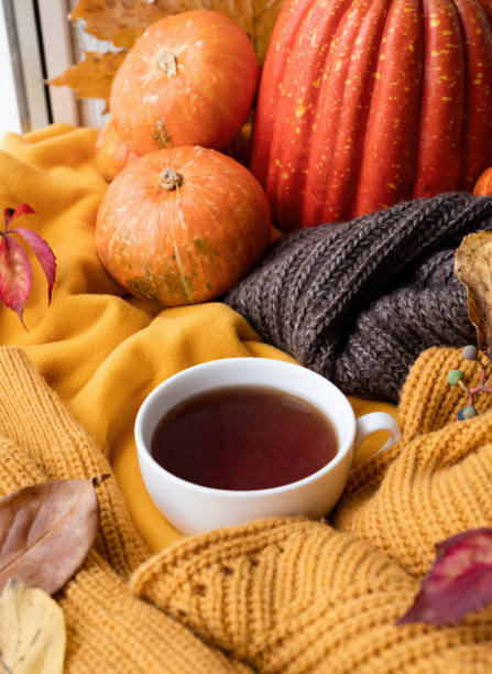 istock Cozy autumn composition, sweater weather. Pumpkins, hot tea and sweaters on window 1422707498