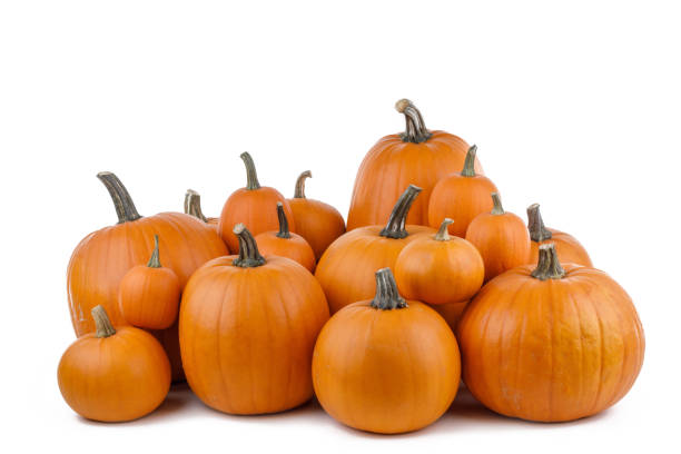 istock Many orange pumpkins on white 1422709102