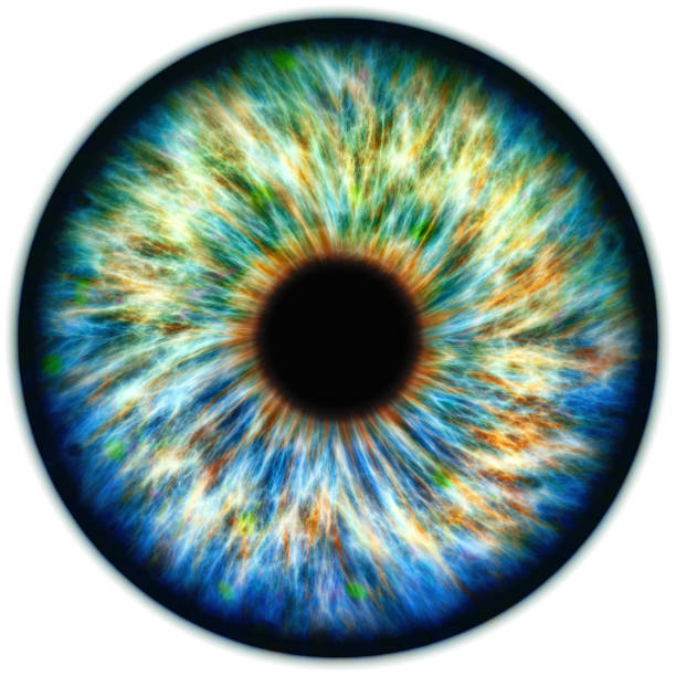 ilustracja wielobarwnej tęczówki - human eye color image multi colored eyesight zdjęcia i obrazy z banku zdjęć