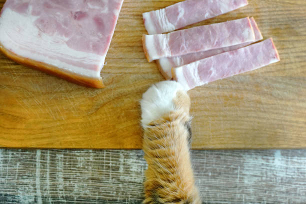 Cat's paw trying to steal a piece of meat from table