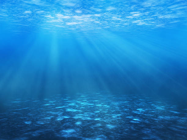subaquática de fundo - bottom sea imagens e fotografias de stock