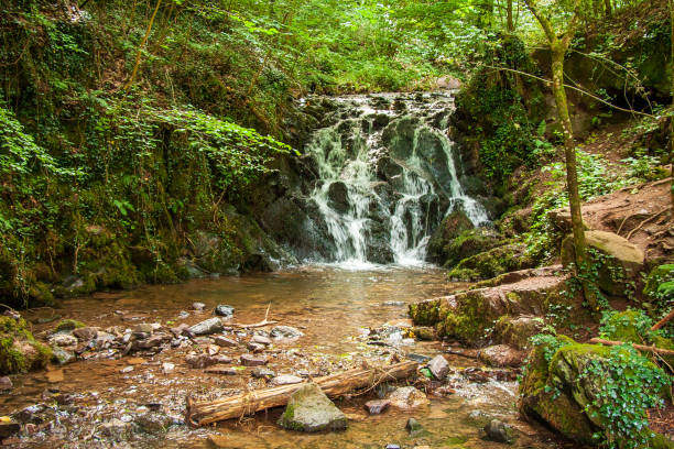 Waterfall flowing through moss covered rocks and green foliage in the English Lake District.