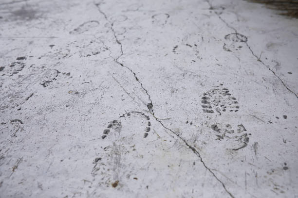 istock Cement brick squared stone floor background. Concrete paving slabs. Paving slabs 1422727780