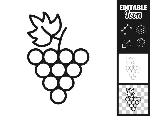 2,100+ Black And White Grapes Stock Illustrations, Royalty-Free