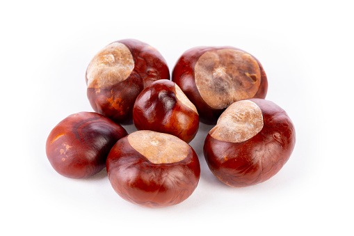 Bunch of horse chestnuts isolated on white background.