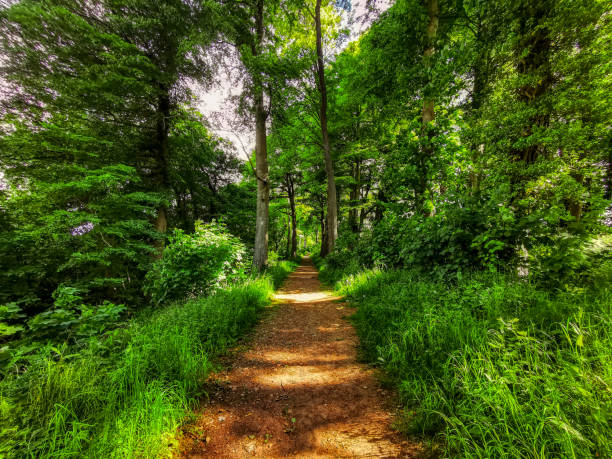 istock Castle Combe Village, Wiltshire, UK 1422733315