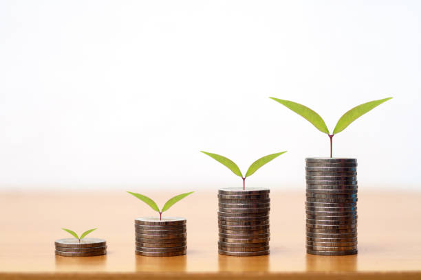 istock plant seedlings on coins growing trees and coins 1422736861