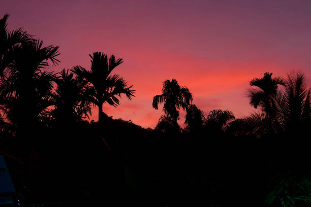 istock Silhouette of sunset and Vivid sky 1422736971