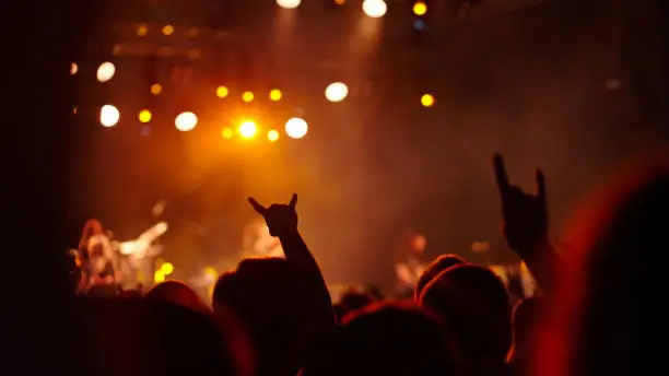 Audience in a rock concert.