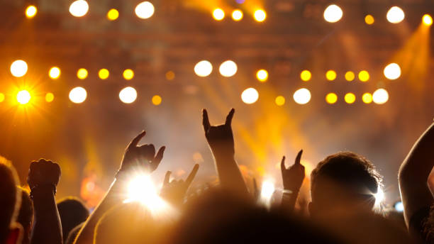 Audience in a rock concert stock photo