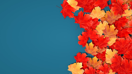 Autumn leaves on blue background