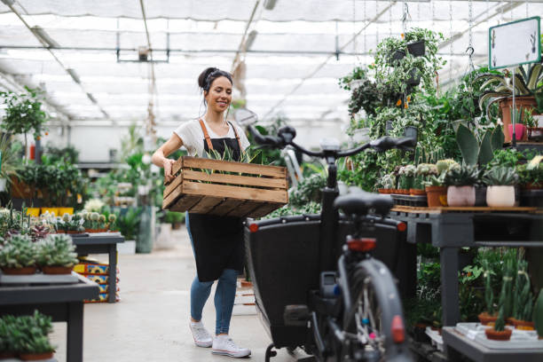 снимок молодой женщины, работающей с растениями в садовом центре - высаживать средс�тво передвижения стоковые фото и изображения