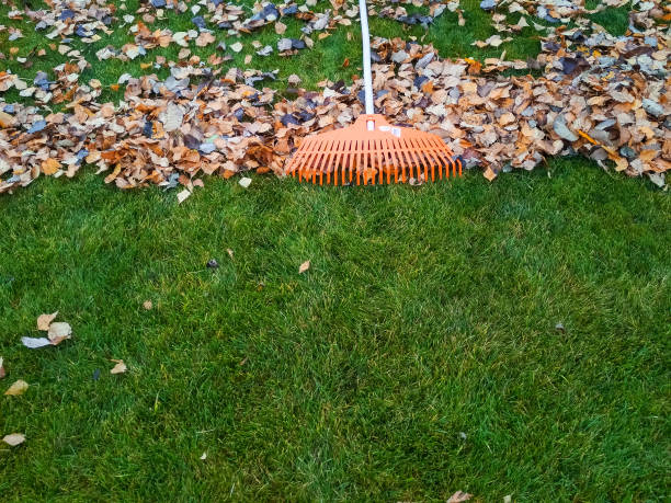 istock Pile of fall leaves with fan rake on lawn 1422753583