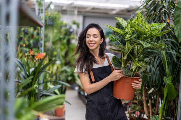 istock Young woman working in a garden shop 1422753821